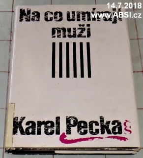 NA CO UMÍRAJÍ MUŽI