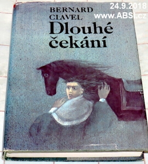 DLOUHÉ ČEKÁNÍ