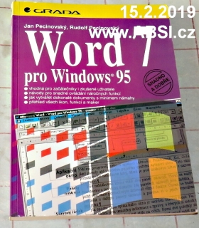 WORD 7 PRO WINDOWS 95