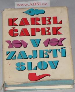V ZAJETÍ SLOV - KRITIKA SLOV A ÚSLOVÍ