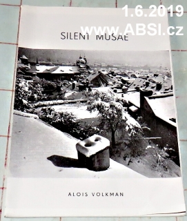 SILENT MUSAE