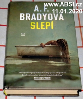 SLEPÍ