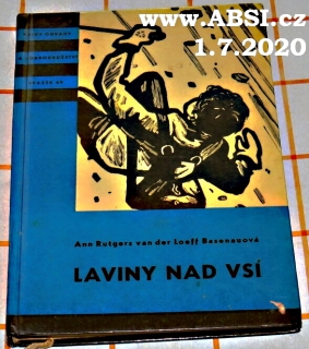 LAVINY NAD VSÍ