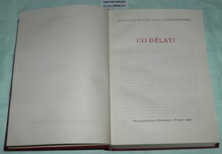 CO DĚLAT ? Z PŘÍBĚHŮ O NOVÝCH LIDECH