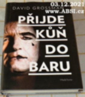 PŘÍJDE KŮŇ DO BARU