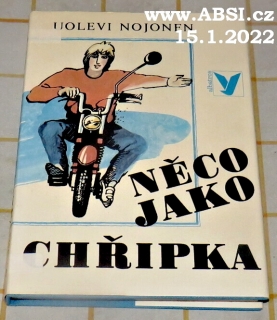 NĚCO JAKO CHŘIPKA