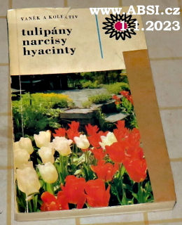 TULIPÁNY, NARCISY, HYACINTY