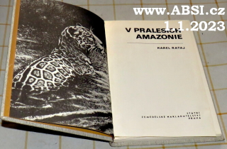 V PRALESÍCH AMAZONIE