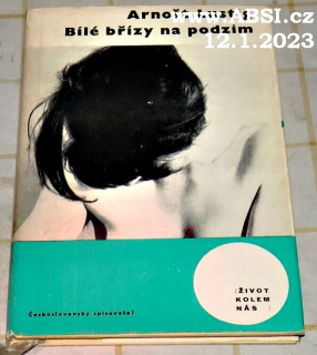 BÍLÉ BŘÍZY NA PODZIM