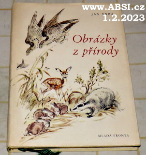 OBRÁZKY Z PŘÍRODY
