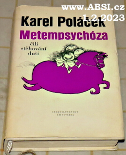 METEMPSYCHÓZA ČILI STĚHOVÁNÍ DUŠÍ