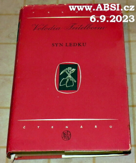 SYN LEDKU