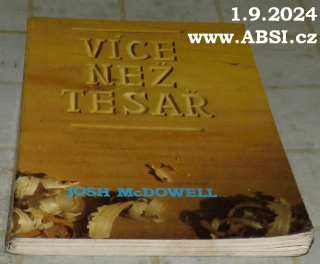 VÍCE NEŽ TESAŘ