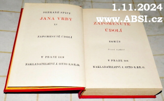 ZAPOMENUTÉ ÚDOLÍ - ROMÁN