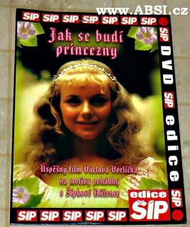 JAK SE BUDÍ PRINCEZNY