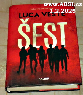 ŠEST - KRIMINÁLNÍ THRILLER