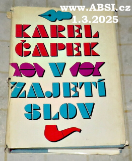 V ZAJETÍ SLOV - KRITIKA SLOV A ÚSLOVÍ