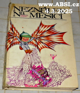 NEZNÁLEK NA MĚSÍCI