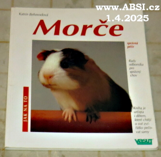 MORČE - JAK NA TO