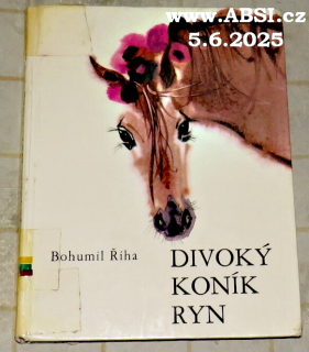 DIVOKÝ KONÍK RYN