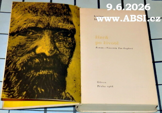 ŽÍZEŇ PO ŽIVOTĚ - ROMÁN O VINCENTU VAN GOGHOVI