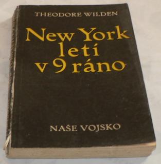 NEW YORK LETÍ V 9 RÁNO